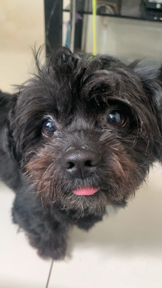 Image uploaded by Nikka