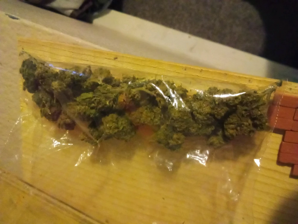 Image uploaded by Zachary