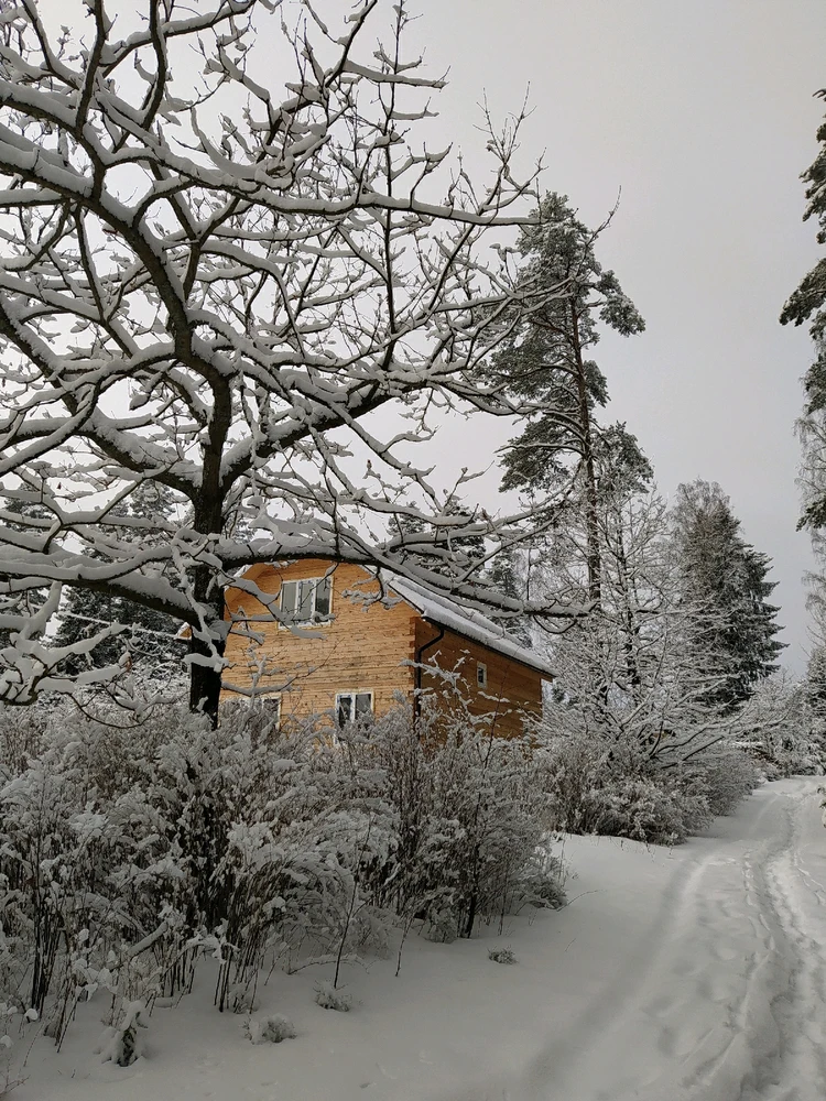 Image uploaded by Маrina 🌊