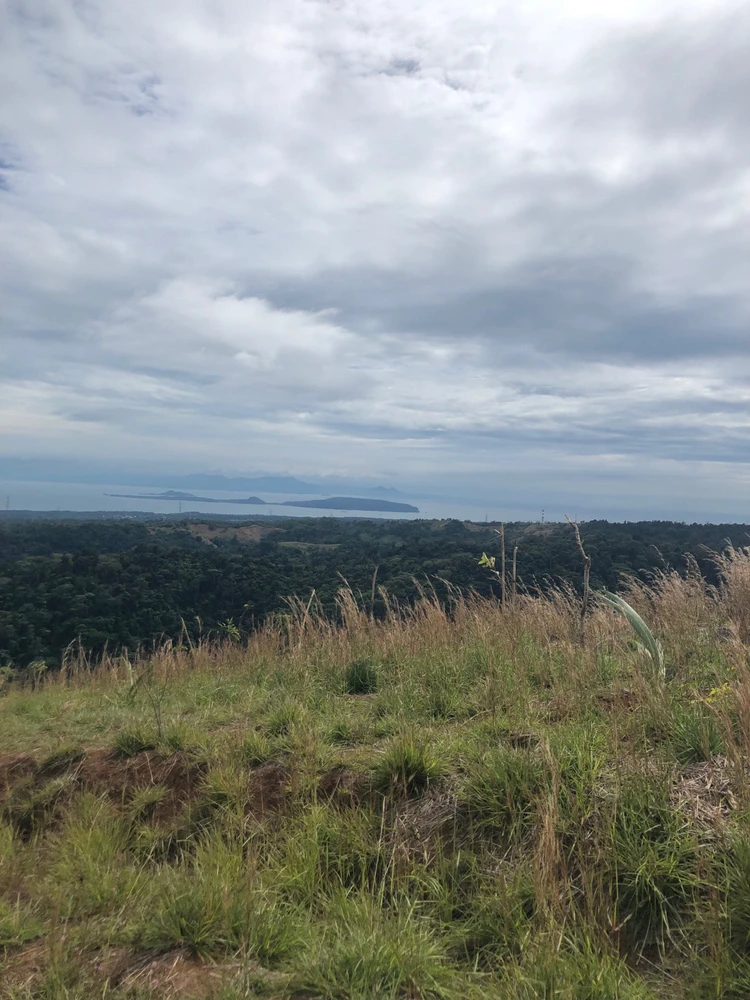 Image uploaded by Rene