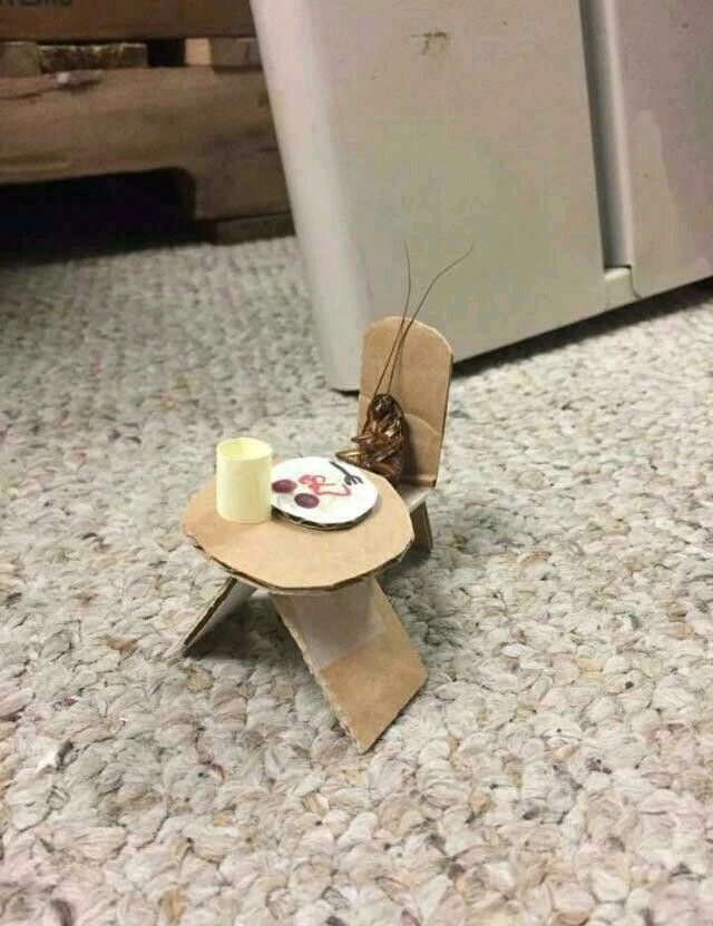 Cihan tarafından yüklenen görsel