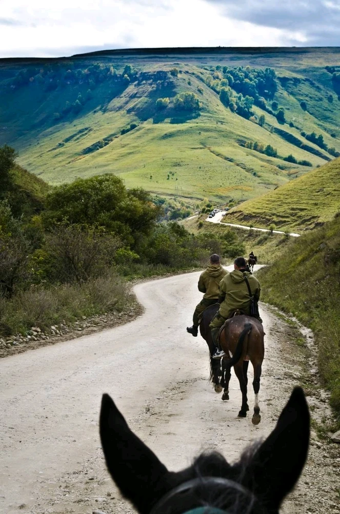 Image uploaded by NickL