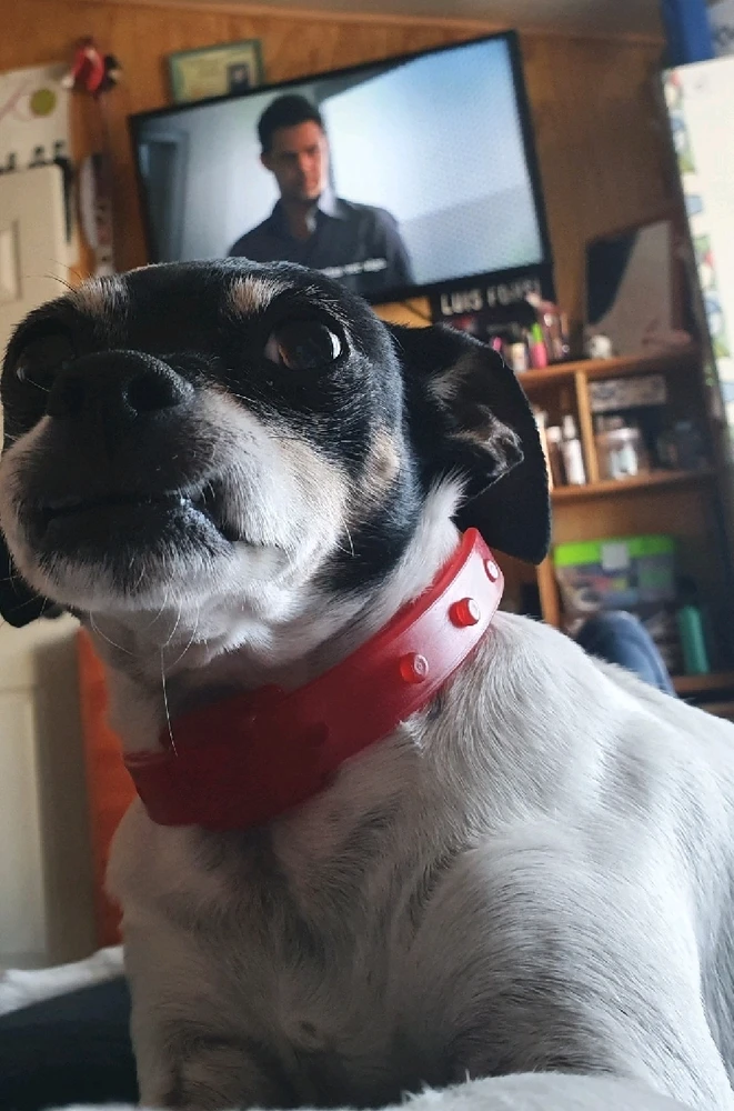 Imagen subida por Aleja