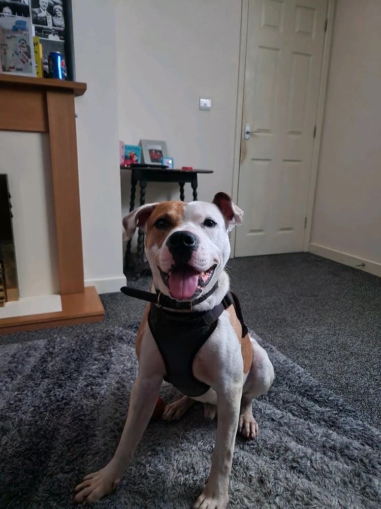 Image uploaded by Matt