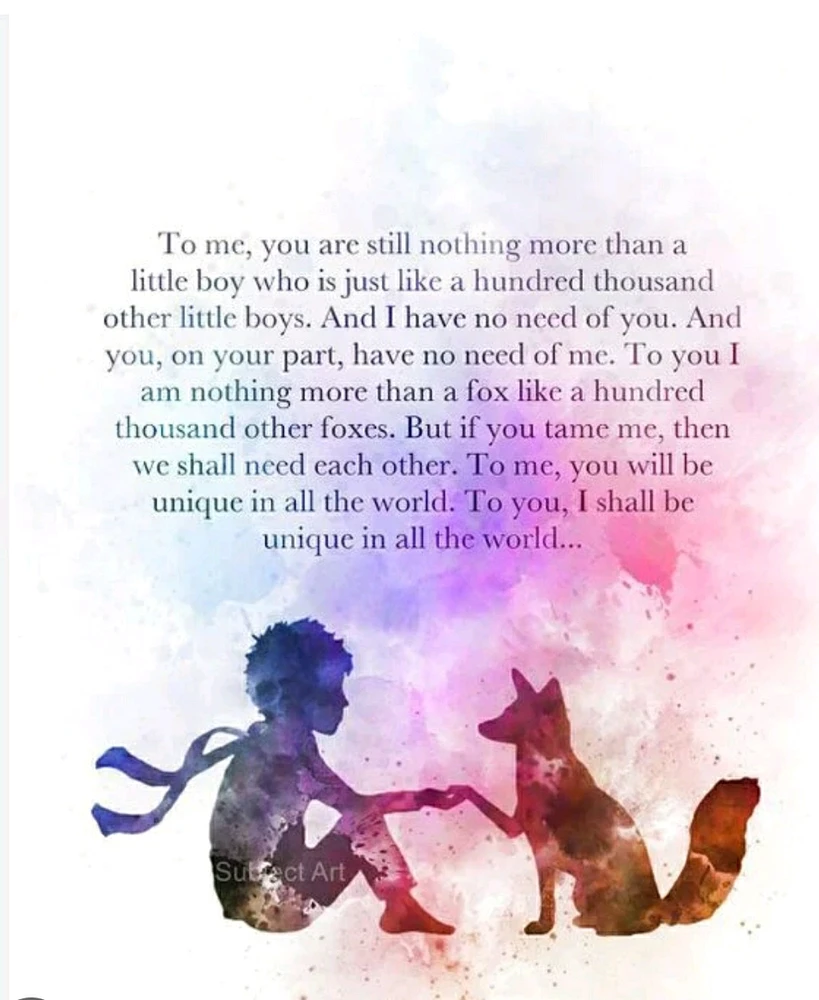 ✨Your favourite quote?✨