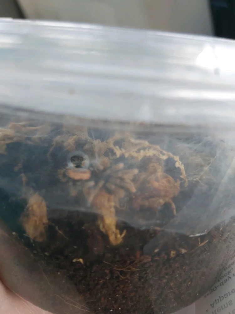 Image uploaded by Kathleen