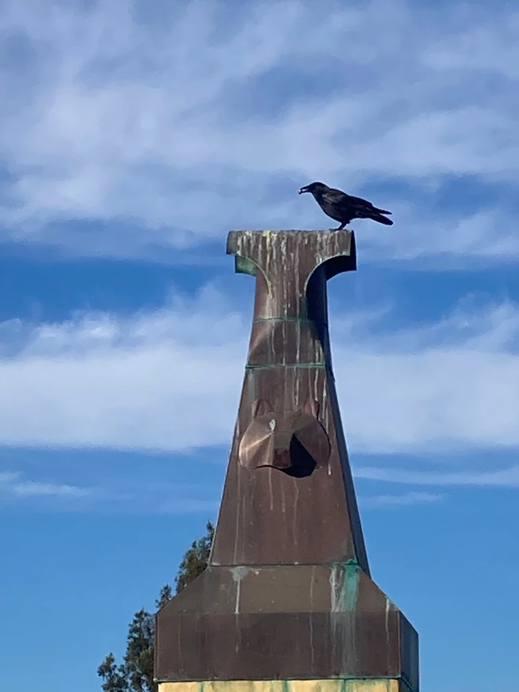 Image uploaded by Jupiter