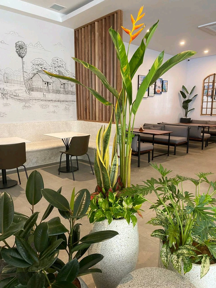 រូបភាពបង្ហោះដោយ ponleu