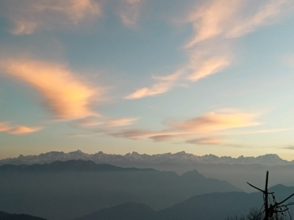 Image uploaded by Gypsy