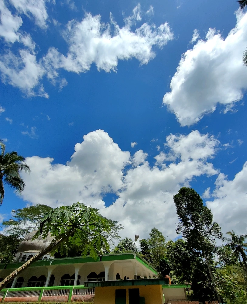 Image uploaded by Bungsu
