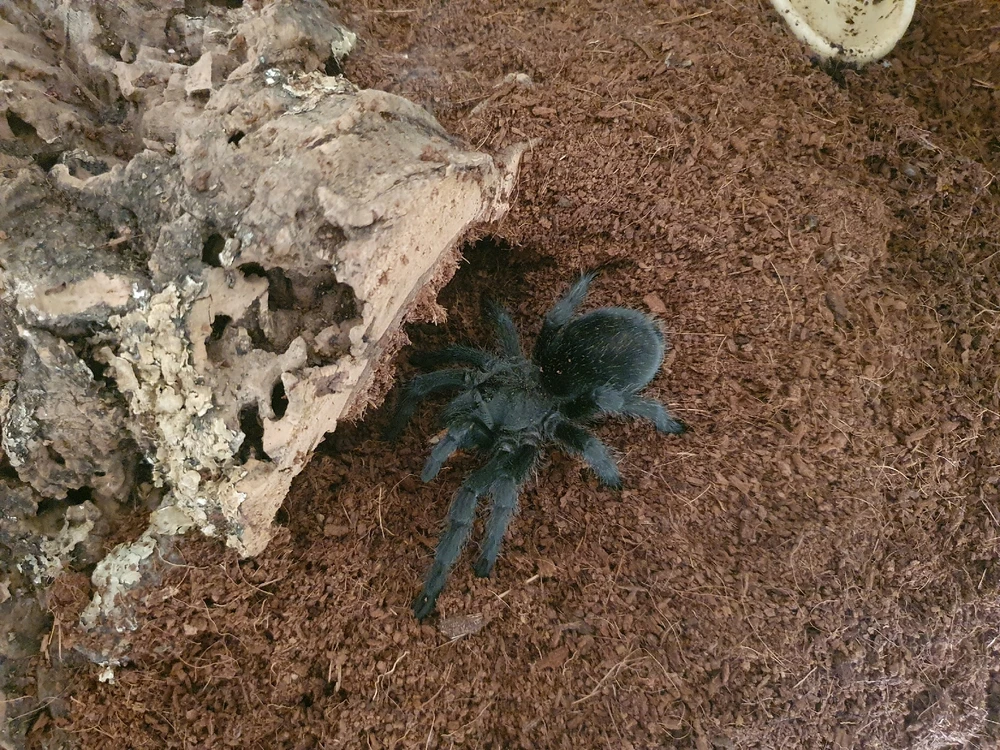 Image uploaded by Dave