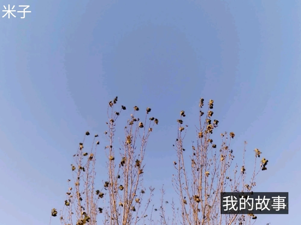 Image uploaded by 米子