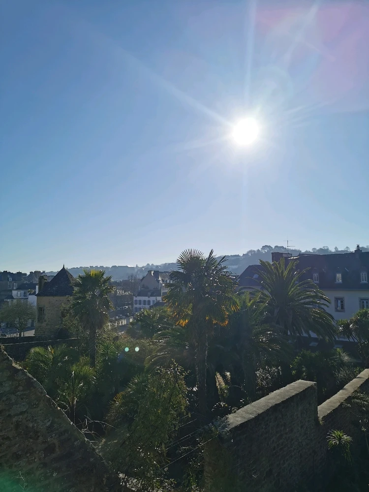 Lamiaがアップロードした画像