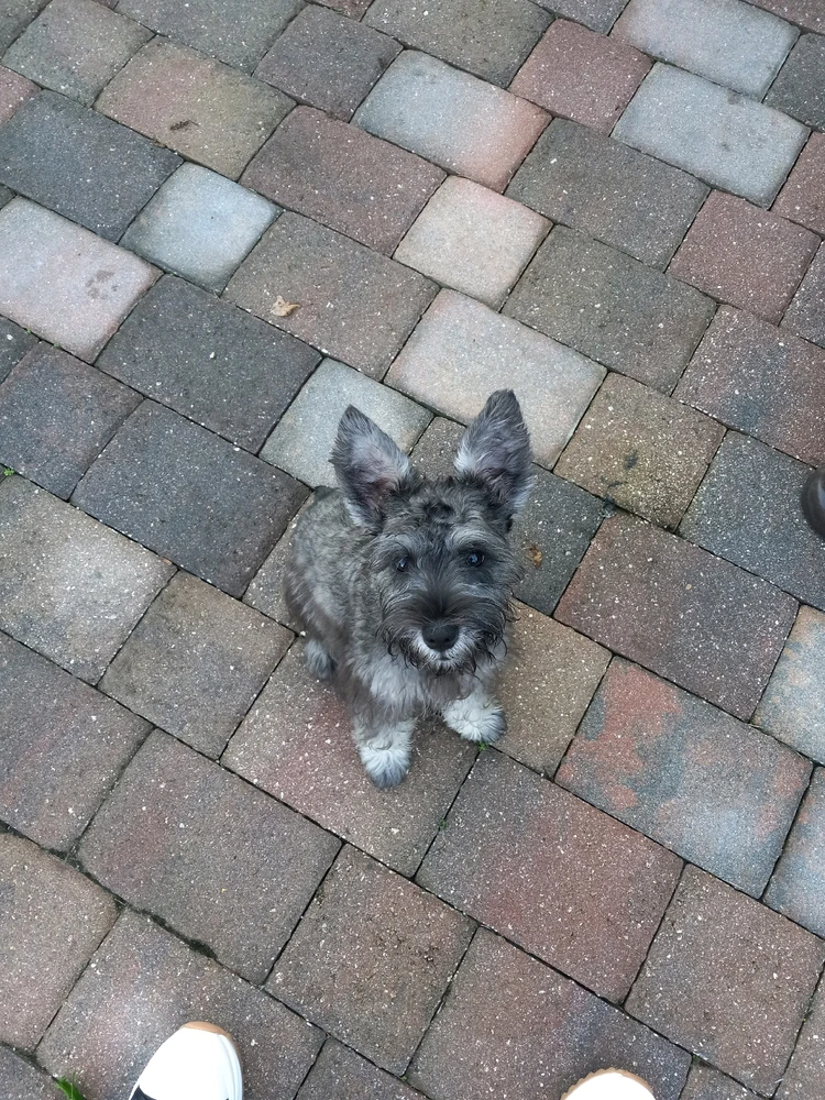 Image uploaded by Fabiola