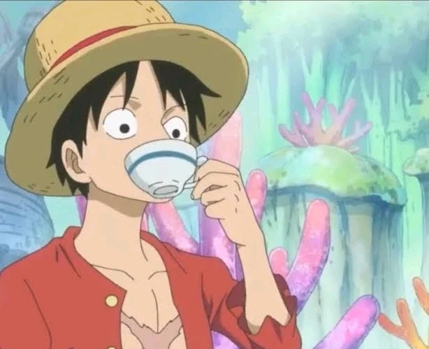 في الفترة المقبلة يخطط أودا لزيادة ذكاء ملك القراصنة المستقبلي [لوفي سنباي] 🤔😂