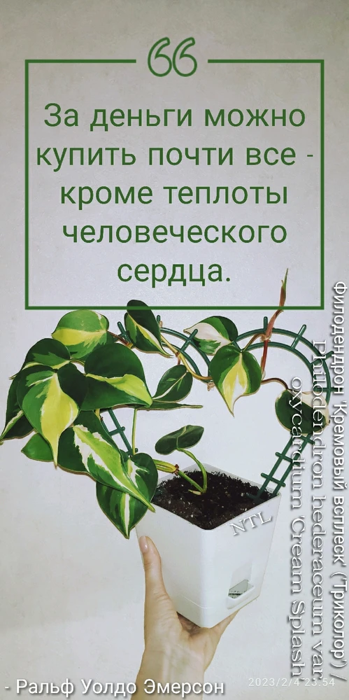 Фото загрузил Надежда