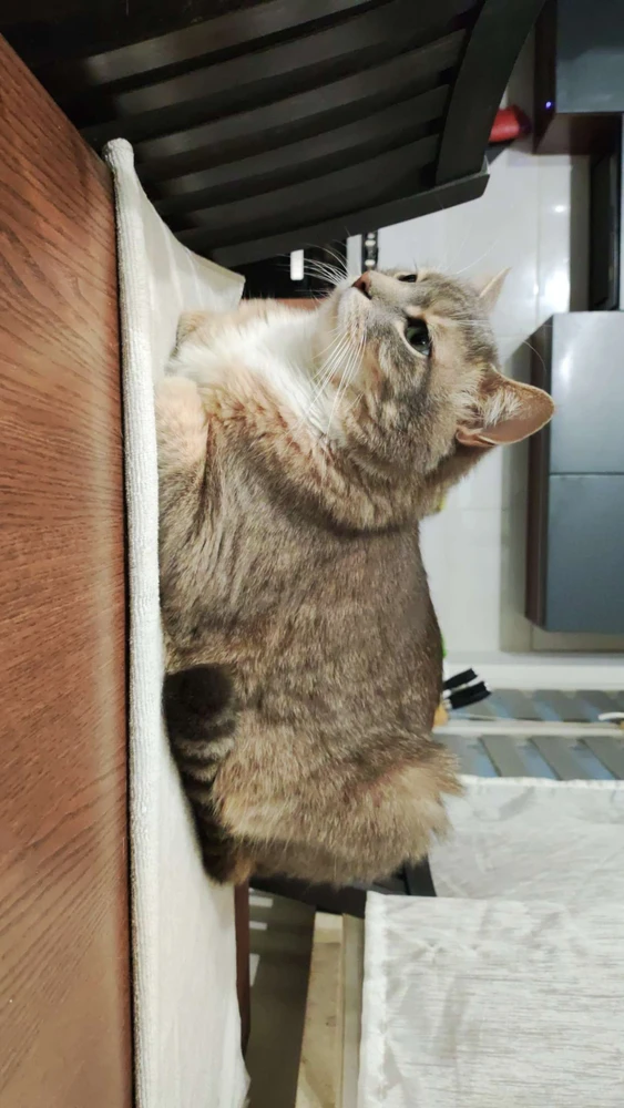 Zdjęcie dodane przez Isabella