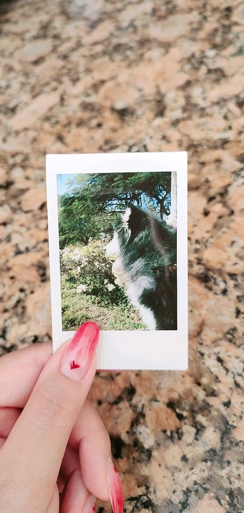 Thanks for everything ♡