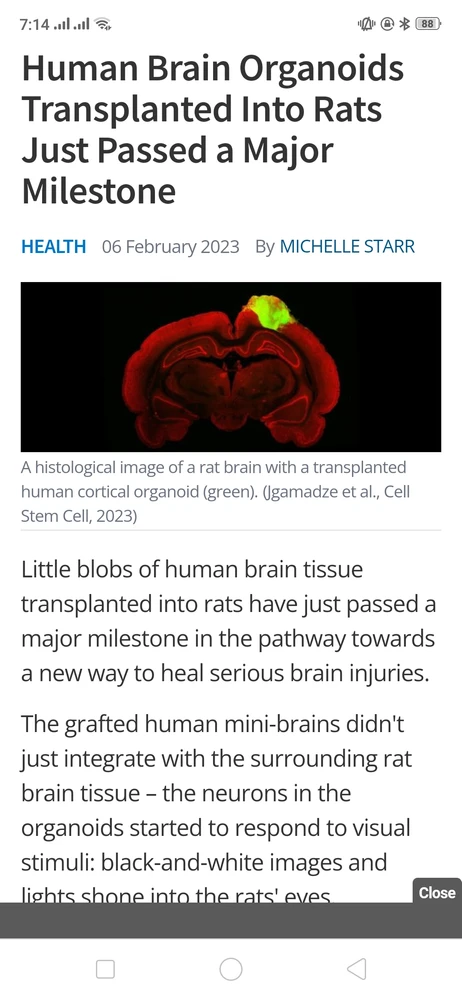 Image uploaded by Soha