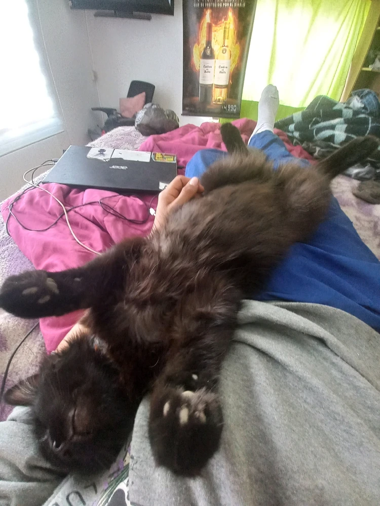 Imagen subida por Alex