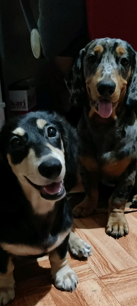 Image uploaded by Val