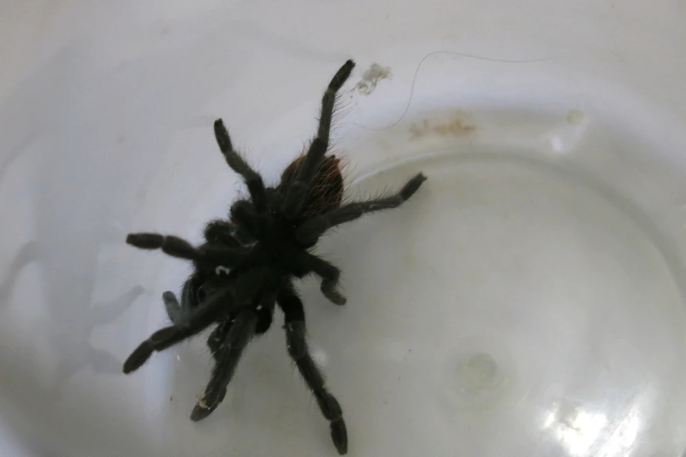 Imagen subida por Gloria