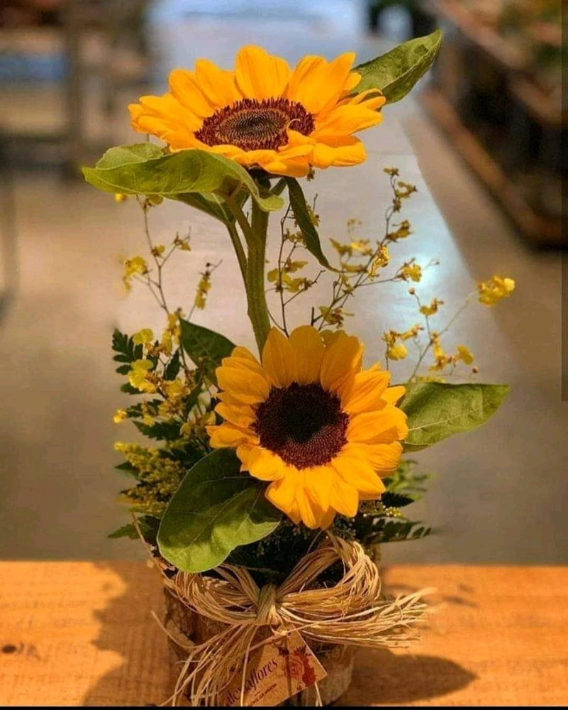 Image uploaded by 🌻Johanna🌻