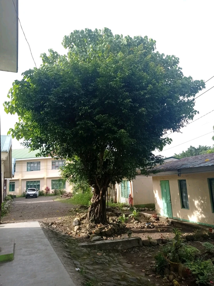 Image uploaded by Hrea