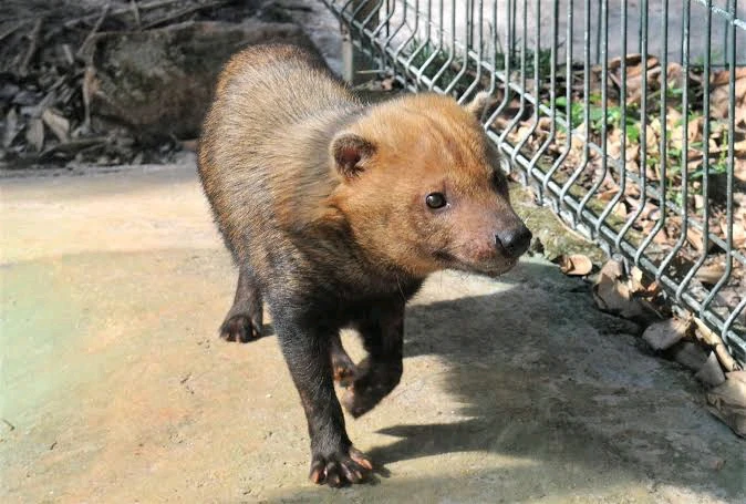 Image uploaded by Marie ⭐