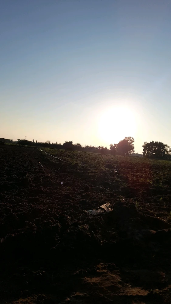 Image ajoutée par Khemais