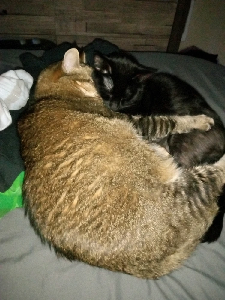 Image uploaded by Mae