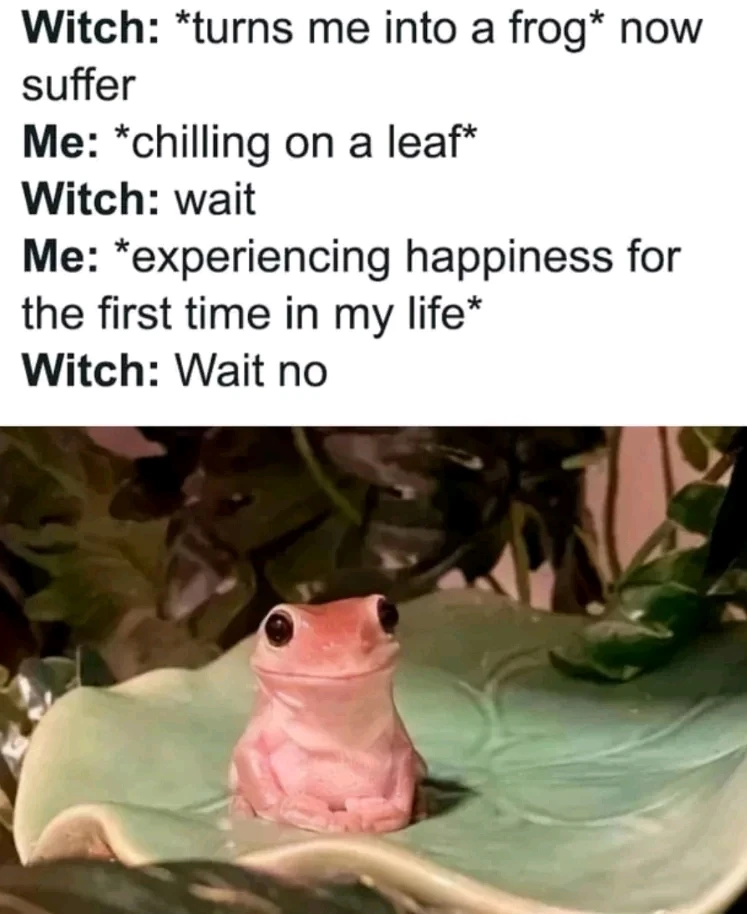 由William上传的图片