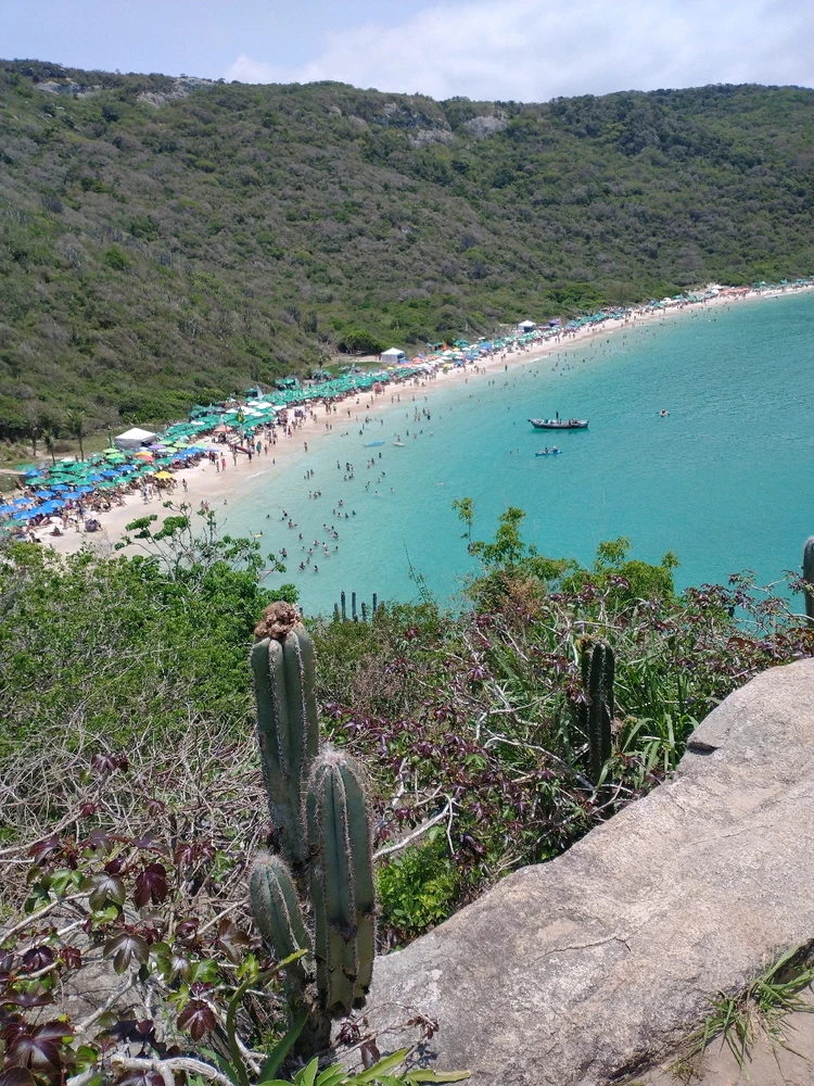 Gambar diunggah dening Jonas