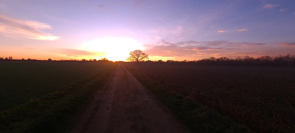 Duab xa los ntawm Dawn