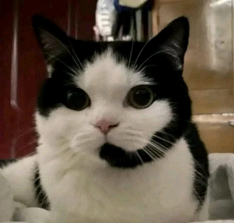 Imagem enviada por 𝓡𝓮𝓷𝓪𝓽𝓪