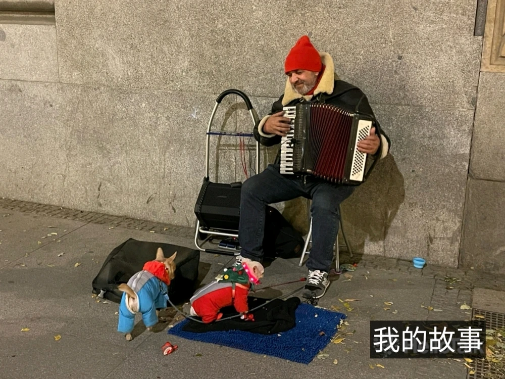 米子上傳的圖片