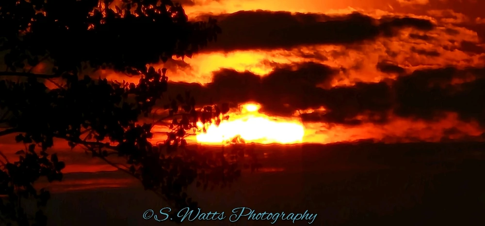 Image uploaded by Shawna