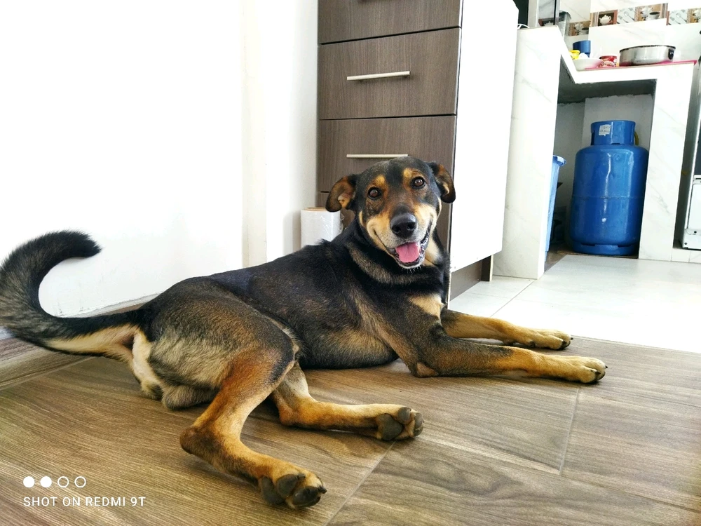 Imagen subida por Darío