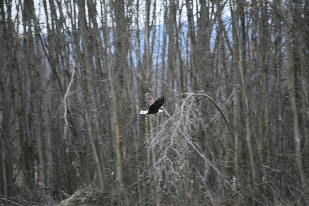 Image uploaded by Stephanie