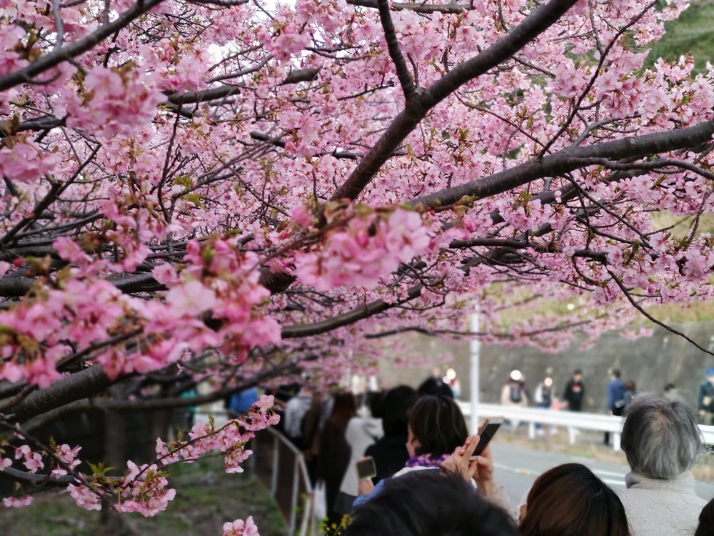 Image uploaded by Mukinam