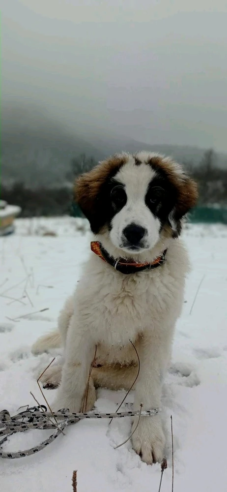 Sliku je postavio/la Jasmina