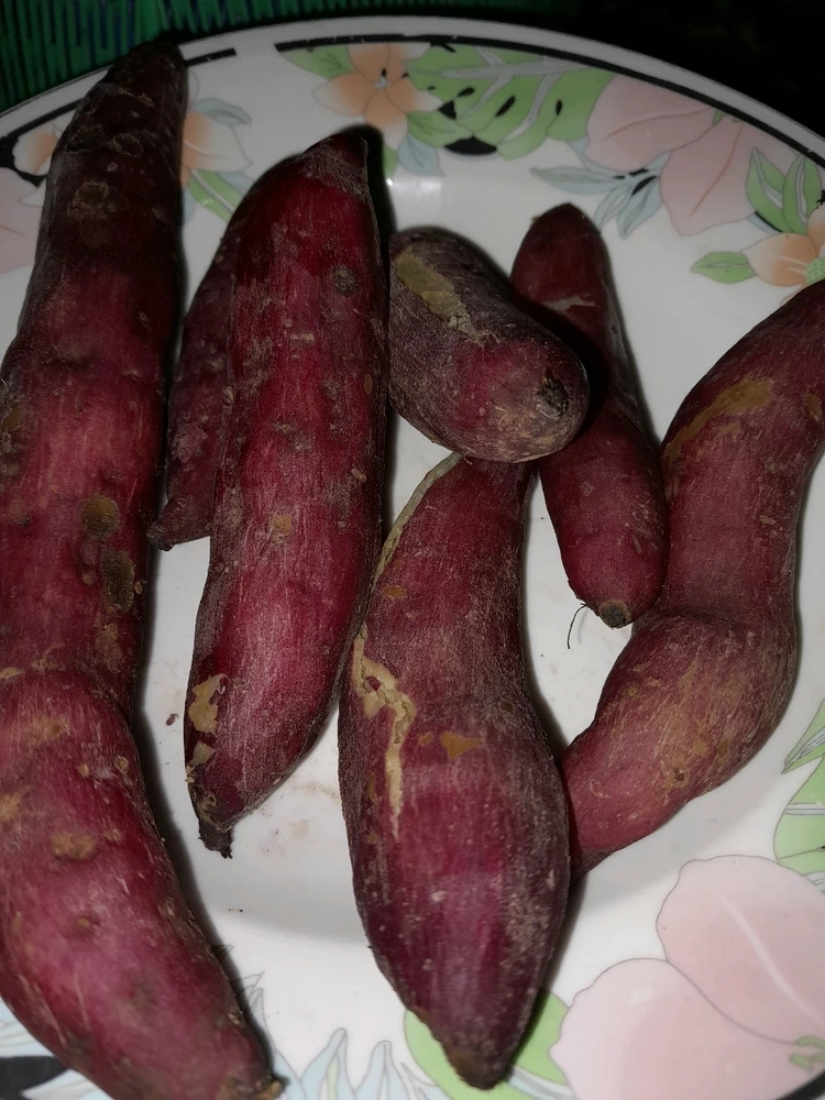 Image uploaded by Phita