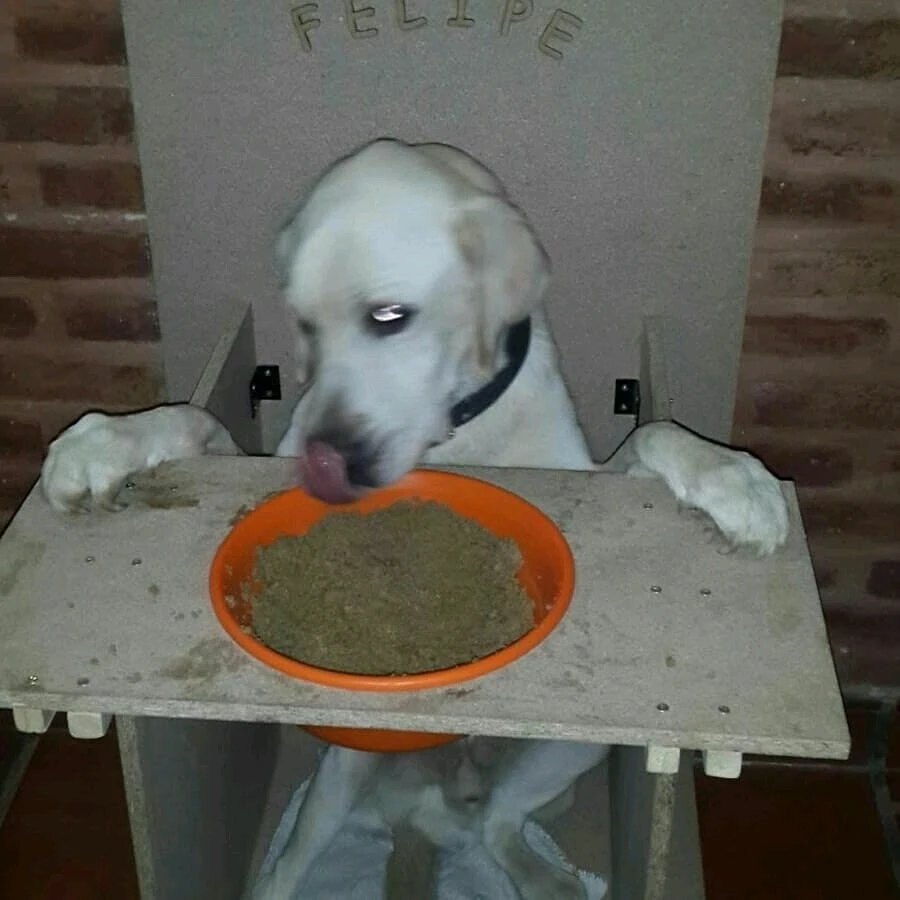 Imagen subida por Rodrigo