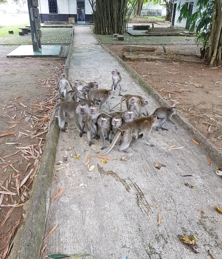 Gambar diunggah oleh Khansa