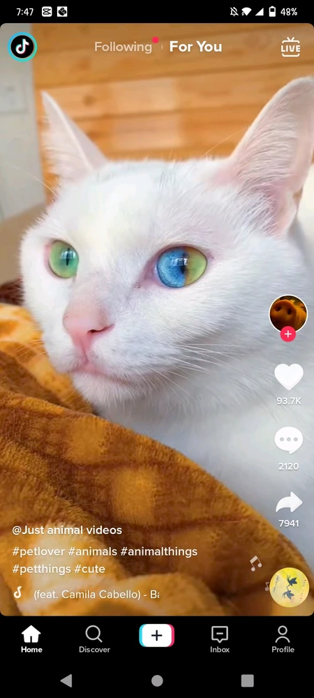 Image uploaded by Lhanie