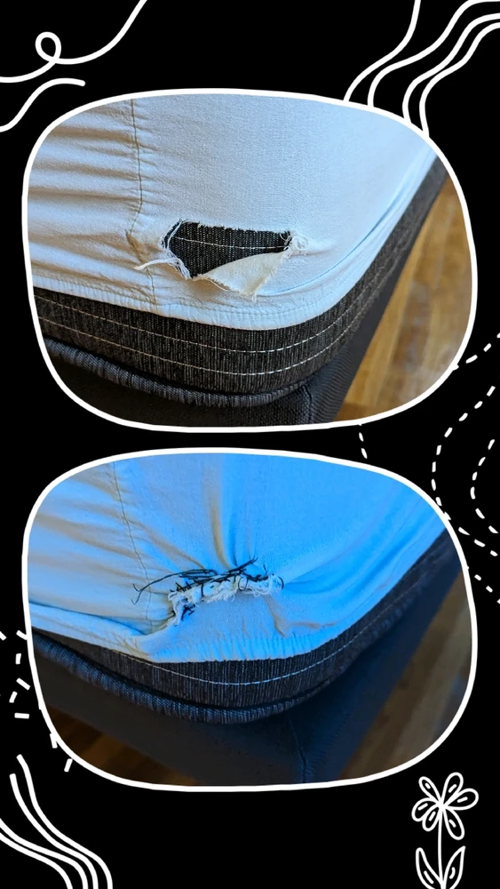 Image uploaded by Vye