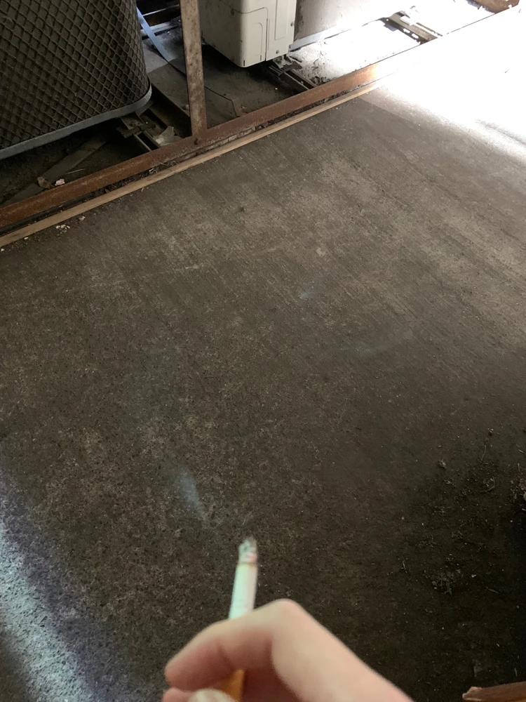 ゆいがアップロードした画像