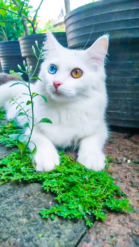 Gambar diunggah oleh B.prasetyo