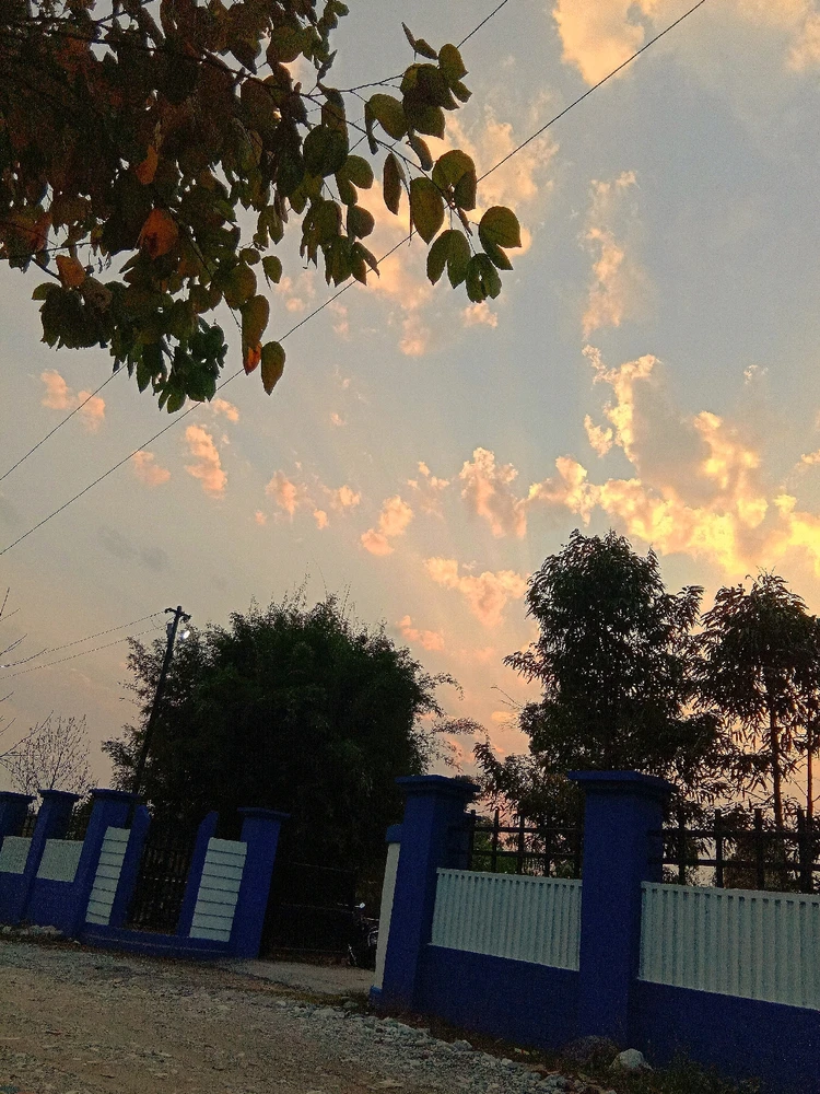 Image uploaded by Koko