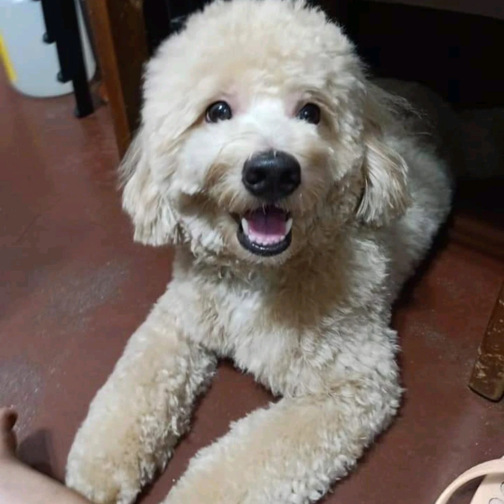 Image uploaded by Kristine
